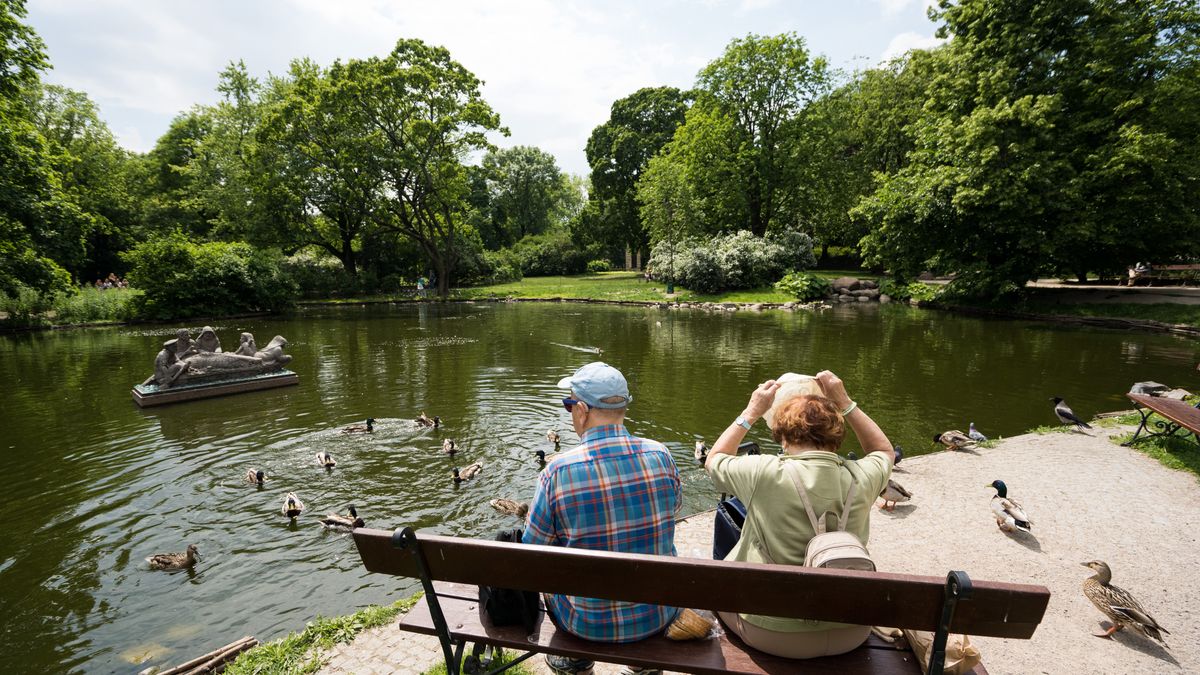 emeryci emerytura ławka park senior emeryt spacer seniorzy