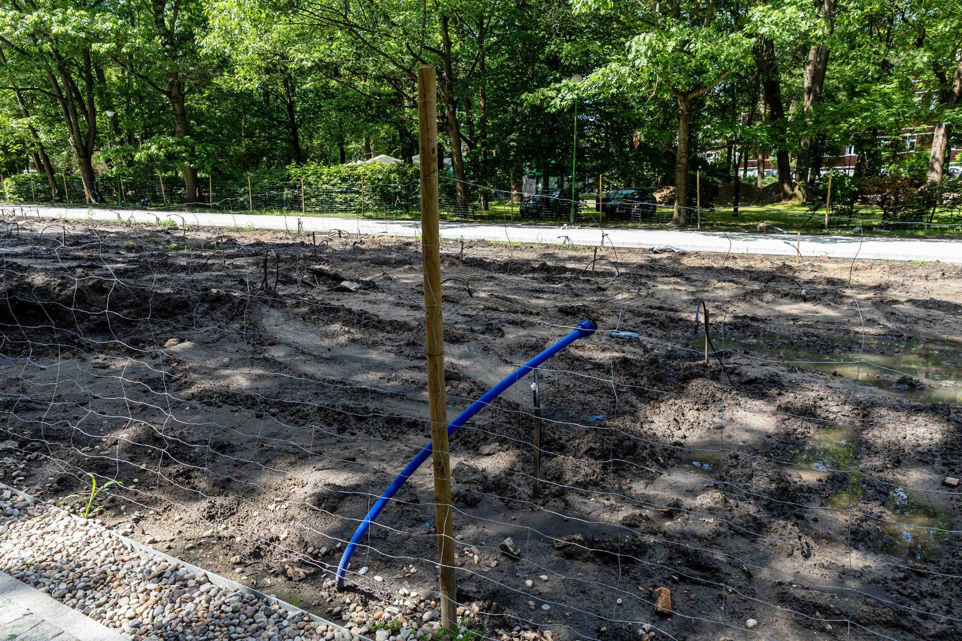 Postępują dalsze prace przy rewitalizacji Parku Planty