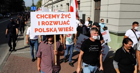 PiS zapowiada: będą rekompensaty dla rolników za "piątkę dla zwierząt"