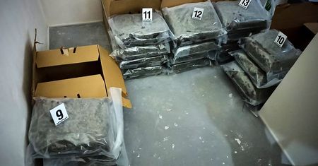 Akcja CBŚP. Policjanci przejęli 80 kg marihuany, wartej 3 mln zł