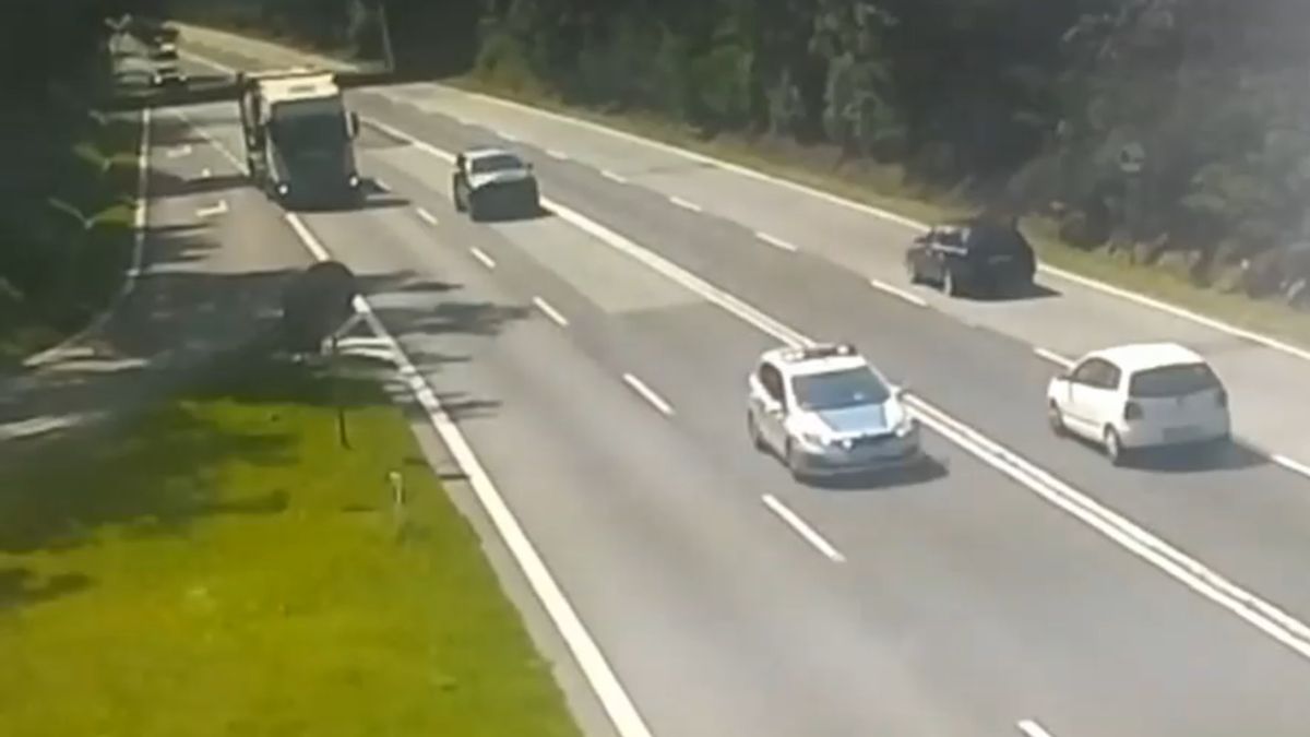 Policyjna eskorta dla matki 