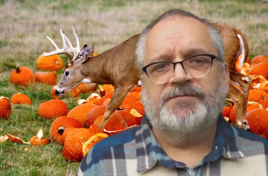 Problem with pumpkins left in the woods. Robert Maślak outraged