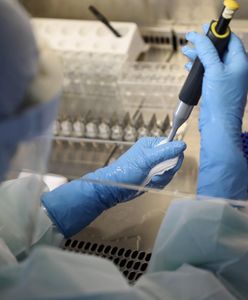 Koronawirus w Polsce. Dwa nowe ogniska na Śląsku: dom seniora i obóz judoków