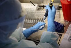 Koronawirus w Polsce. Dwa nowe ogniska na Śląsku: dom seniora i obóz judoków