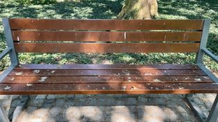 Gorzów: Syzyfowa praca w Parku Róż. Myją ławki codziennie, ale usiąść się nie da