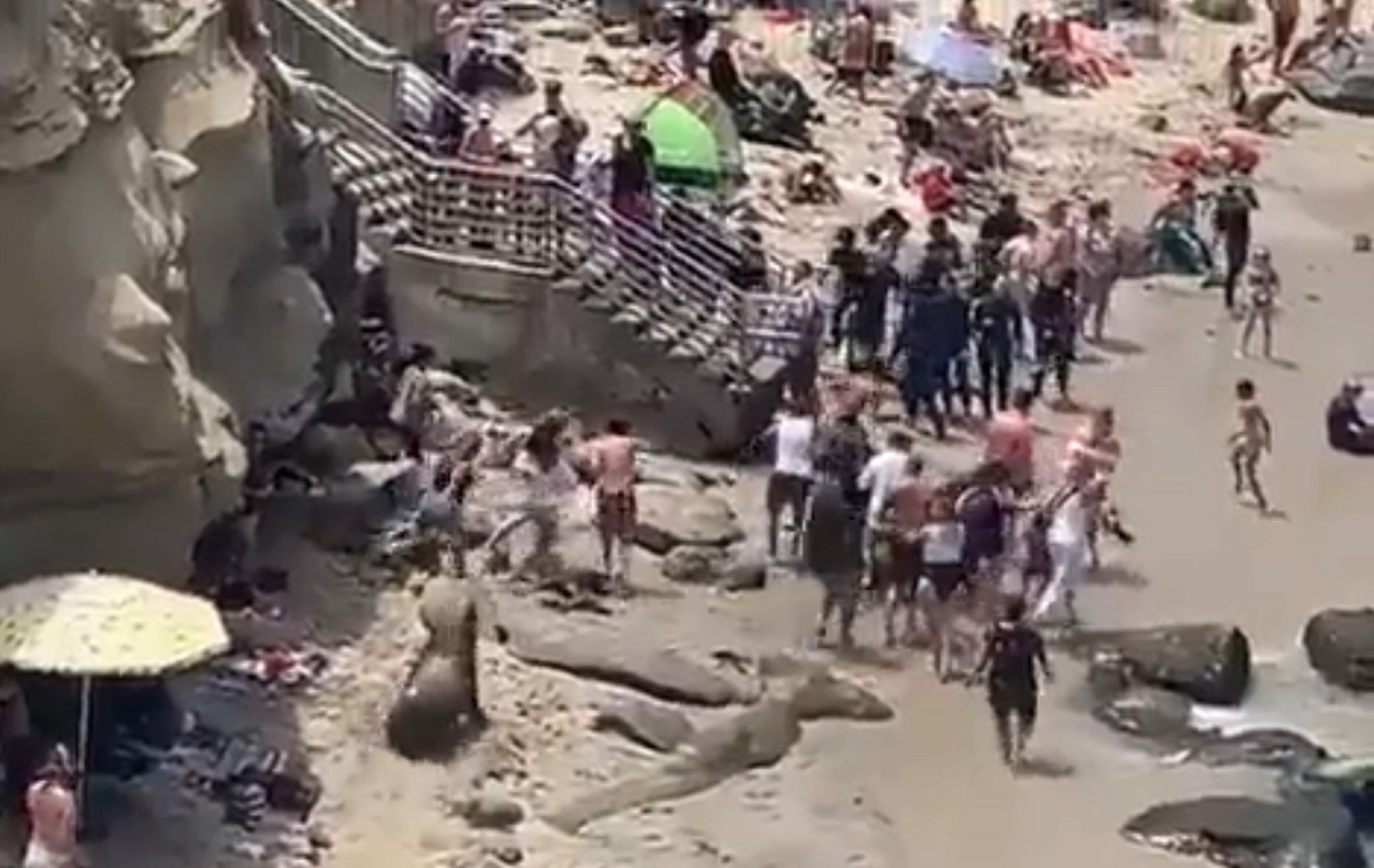 Lwy morskie przegoniły plażowiczów 