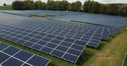 PGE postawi ogromną farmę fotowoltaiczną. Zajmie 50 hektarów