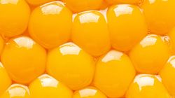 Niedoceniany składnik diety wspiera pamięć. Zmniejsza ryzyko alzheimera i poprawia pamięć