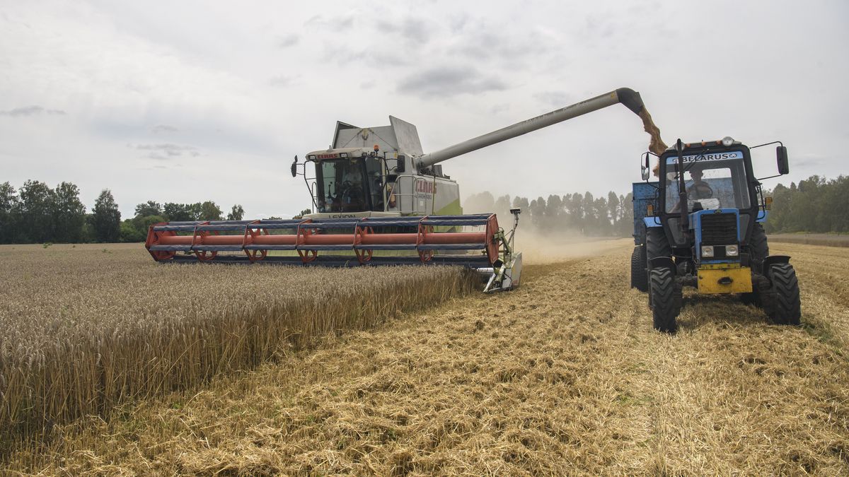 Saudyjczycy przejmują kontrolę nad rosyjskim rolnictwem