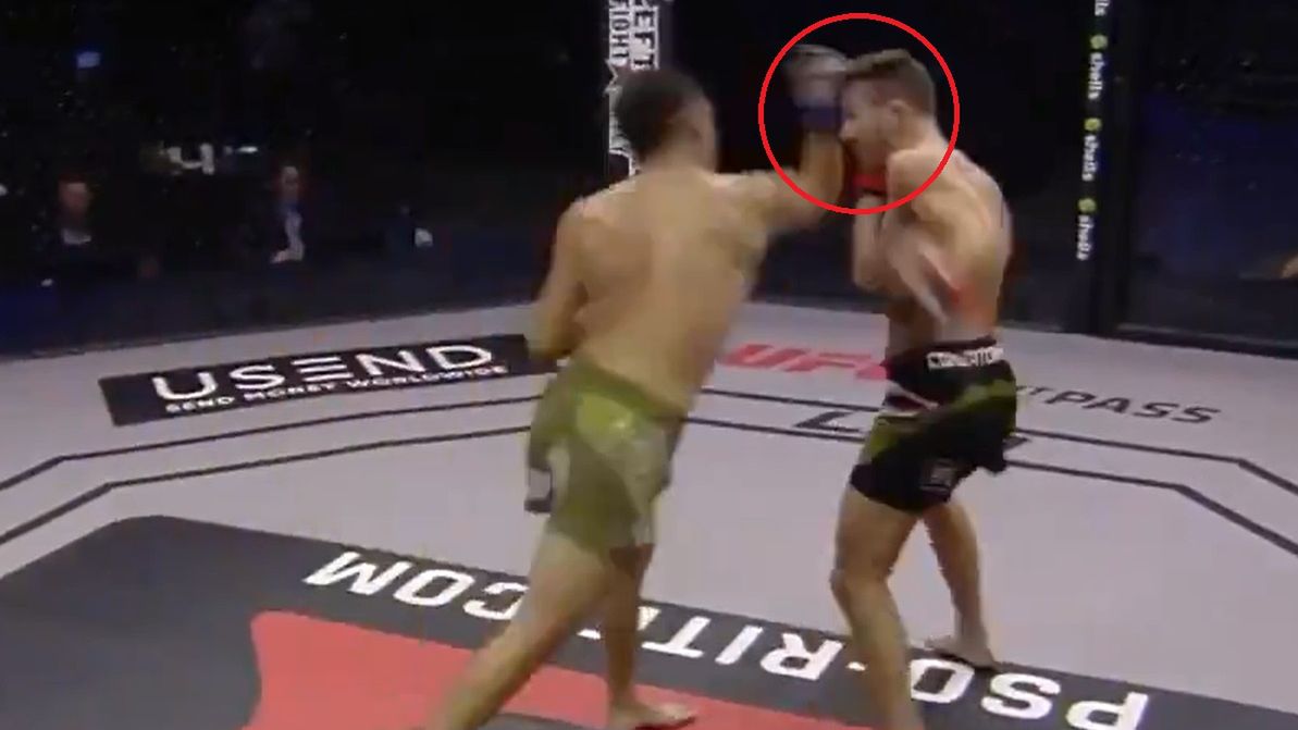 Cios Carlosa Hernandeza