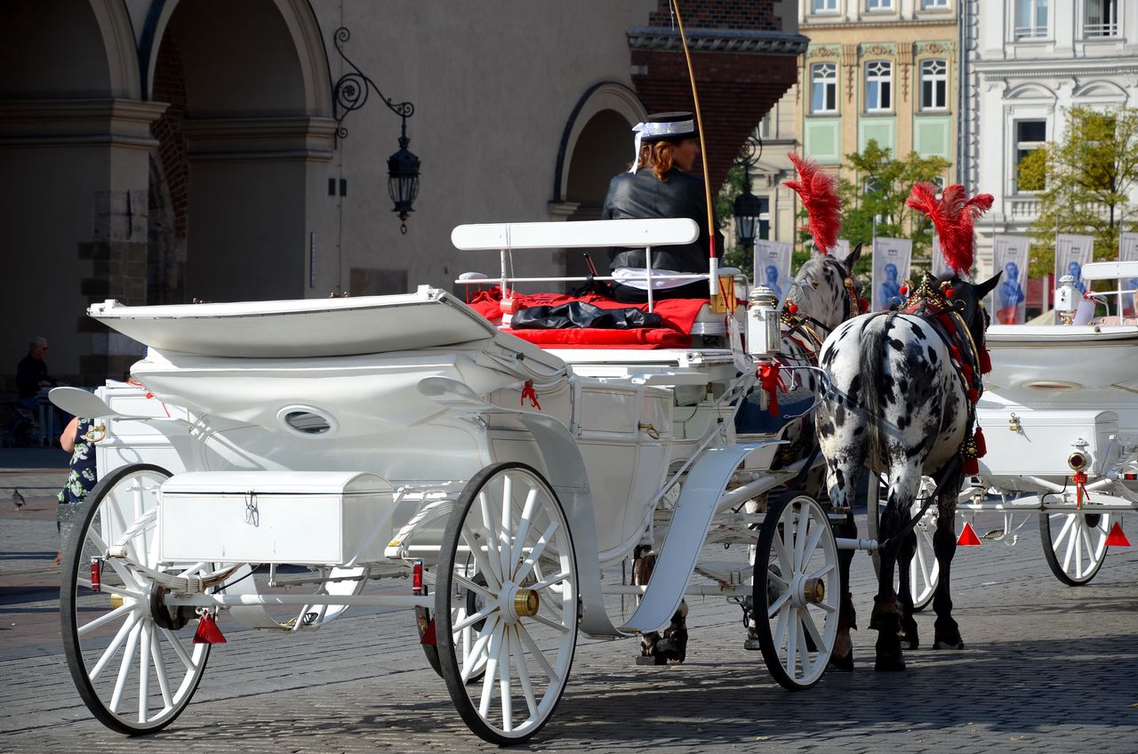 Zamknięty postój i przejazd dorożek na Rynku Głównym w Krakowie