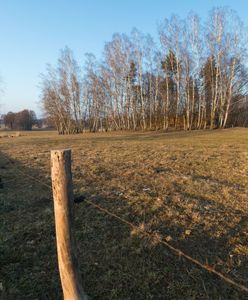 Rolnicy alarmują. "40 lat żyję i tak nie było nigdy"