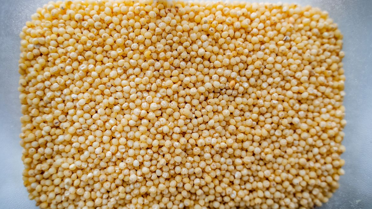 Millet close-up. Wine on top of cereals. Millet porridge of yellow color.
Millet close-up. Wine on top of cereals. Millet porridge of yellow color. High quality photo
Aleksey Matrenin
white, isolated, health, top, vegetarian, view, crop, harvest, lot, hulled, proso