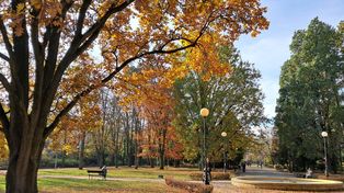 Warszawski park zachwyca w jesiennej odsłonie. Miejsce idealne na spacer o każdej porze