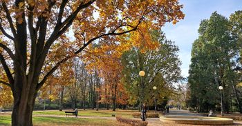 Warszawski park zachwyca w jesiennej odsłonie. Miejsce idealne na spacer o każdej porze