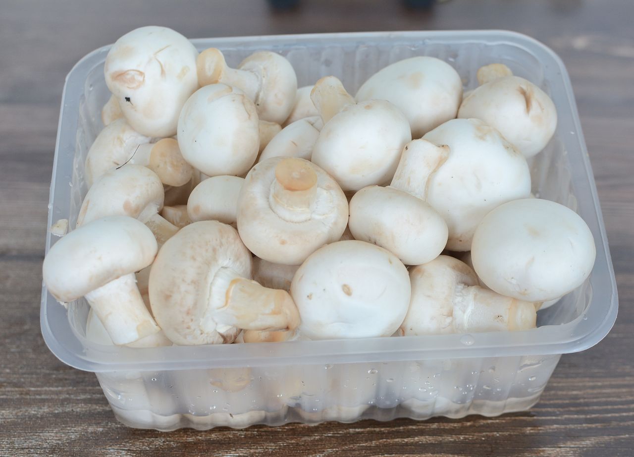 Przechowywanie pieczarek jest proste