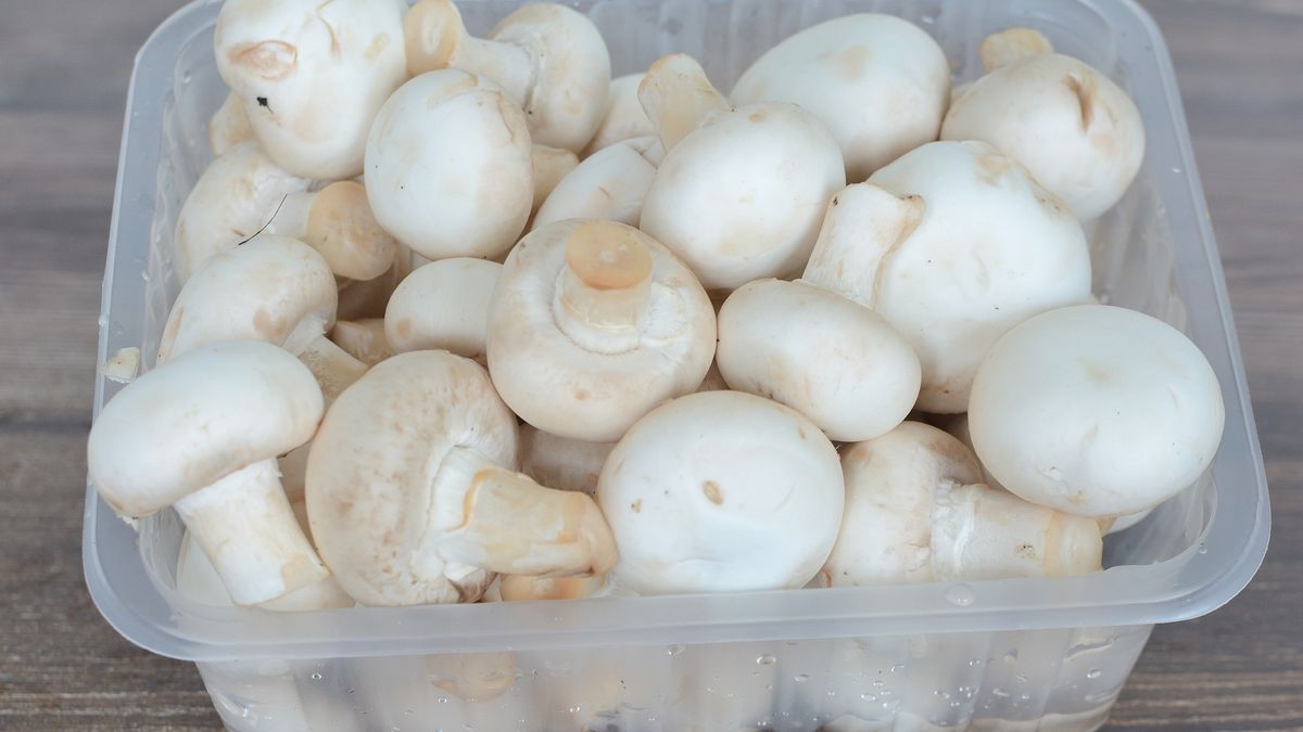 Przechowywanie pieczarek jest proste