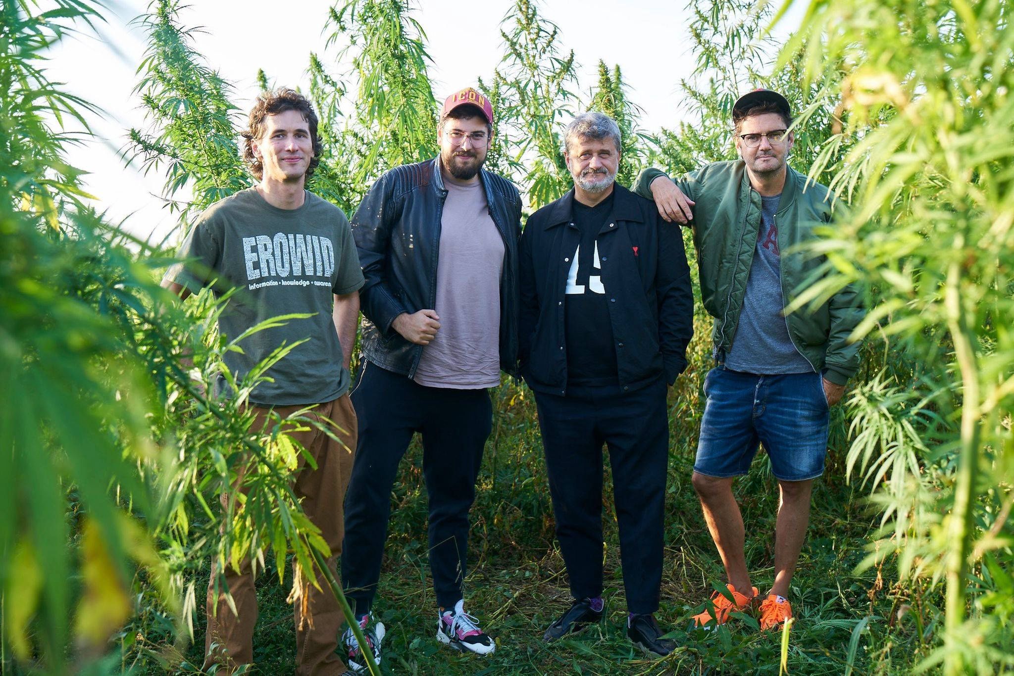 BUH od Janusza Palikota i Kuby Wojewódzkiego ma zostać w przyszłości rozszerzony o THC.