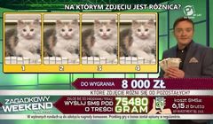 Znana stacja poprawiła jakość obrazu w UPC Polska