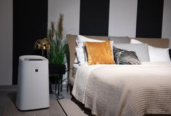 Sharp Ultimate Air z technologią Plasmacluster – oddychaj czystym powietrzem w domu