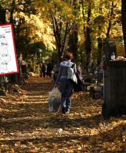 Pogoda na weekend zaduszny. Znacząca zmiana
