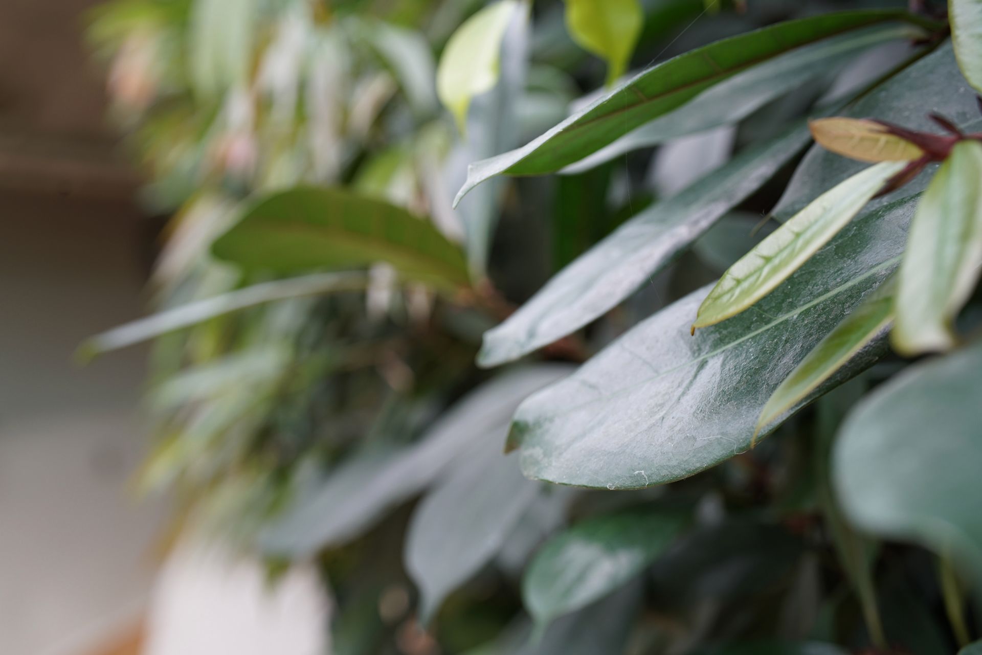 Zeiss Planar T* FE 50 mm f/1.4 ZA - nasze przykładowe zdjęcia 15