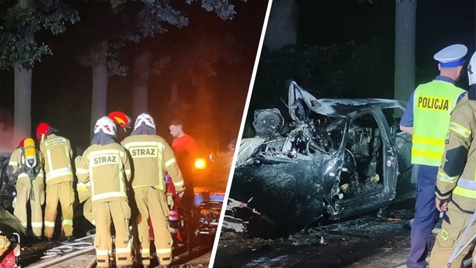 Wypadek na drodze Gościeszyn- Stara Dąbrowa