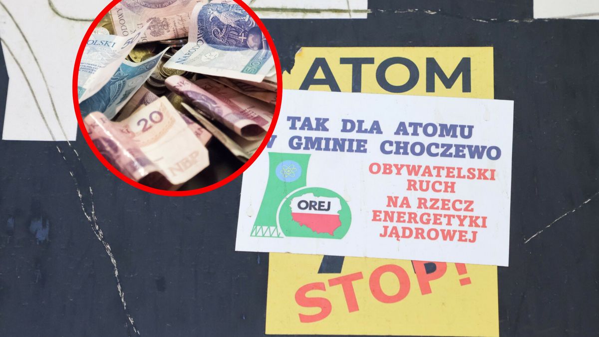 Polacy chcą taniej energii, ale nie zamierzają dopłacać