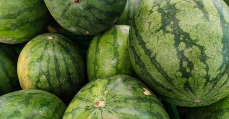 Arbuz inaczej – kulinarne inspiracje