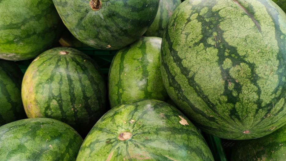 fruit, watermelon, food, melon, green, market, fresh, healthy, ripe, sweet, juicy, summer, watermelons, agriculture, diet, freshness, nature, water, vegetable, water-melon, organic, vegetarian, color, health, asia, background, close up, closeup, delicious, dessert, farm, fruits, harvest, heap, hyper, hypermarket, natural, nutrition, pile, plant, raw, sale, sell, shop, stall, striped, super, supermarket, tropical