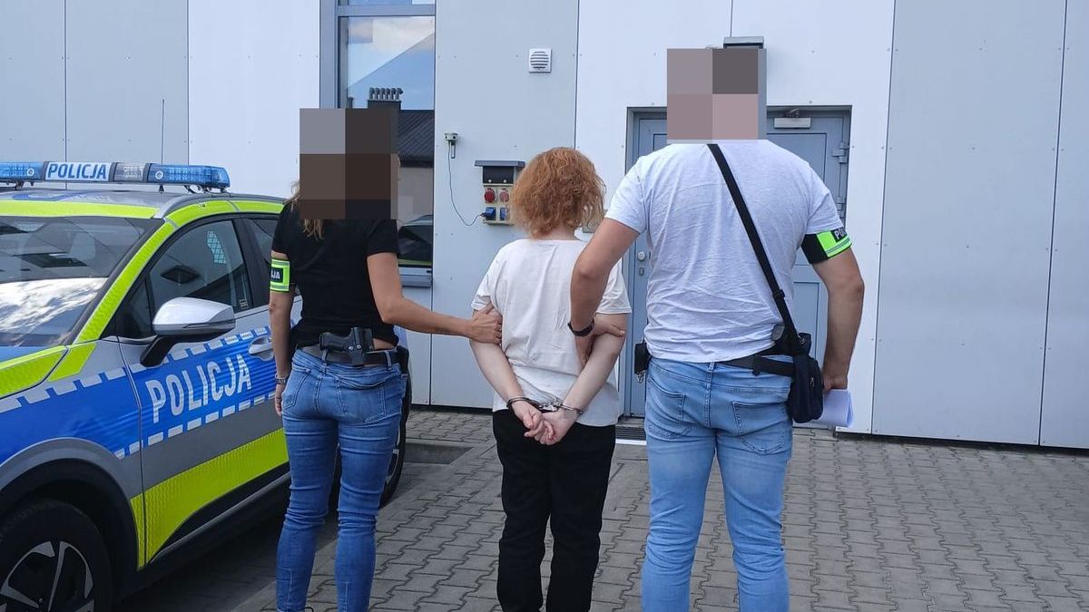 policja