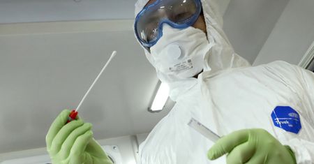 Coraz więcej zakażeń hantawirusem. Ognisko blisko polskiej granicy