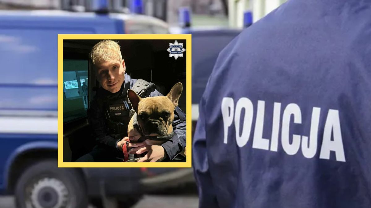 Przywiązany do drzewa pies pod opieką policjantów