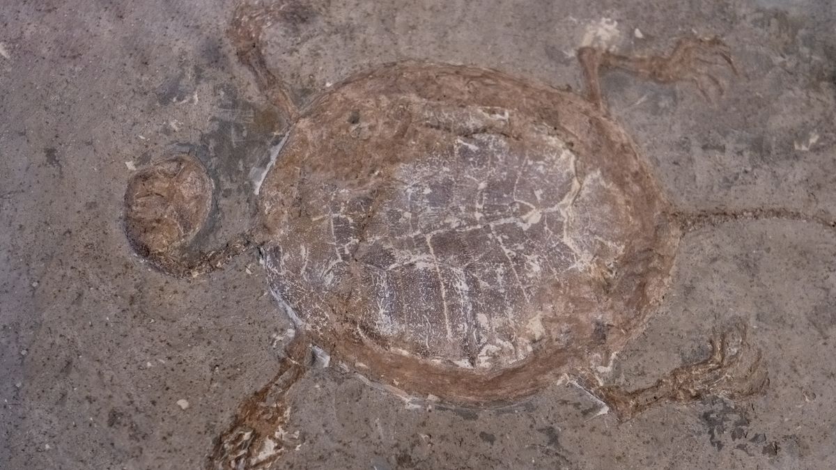 Zdjęcie ilustracyjne