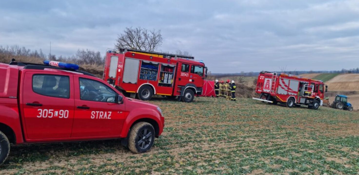 Do wypadku doszło podczas wycinki drzew na prywatnej działce