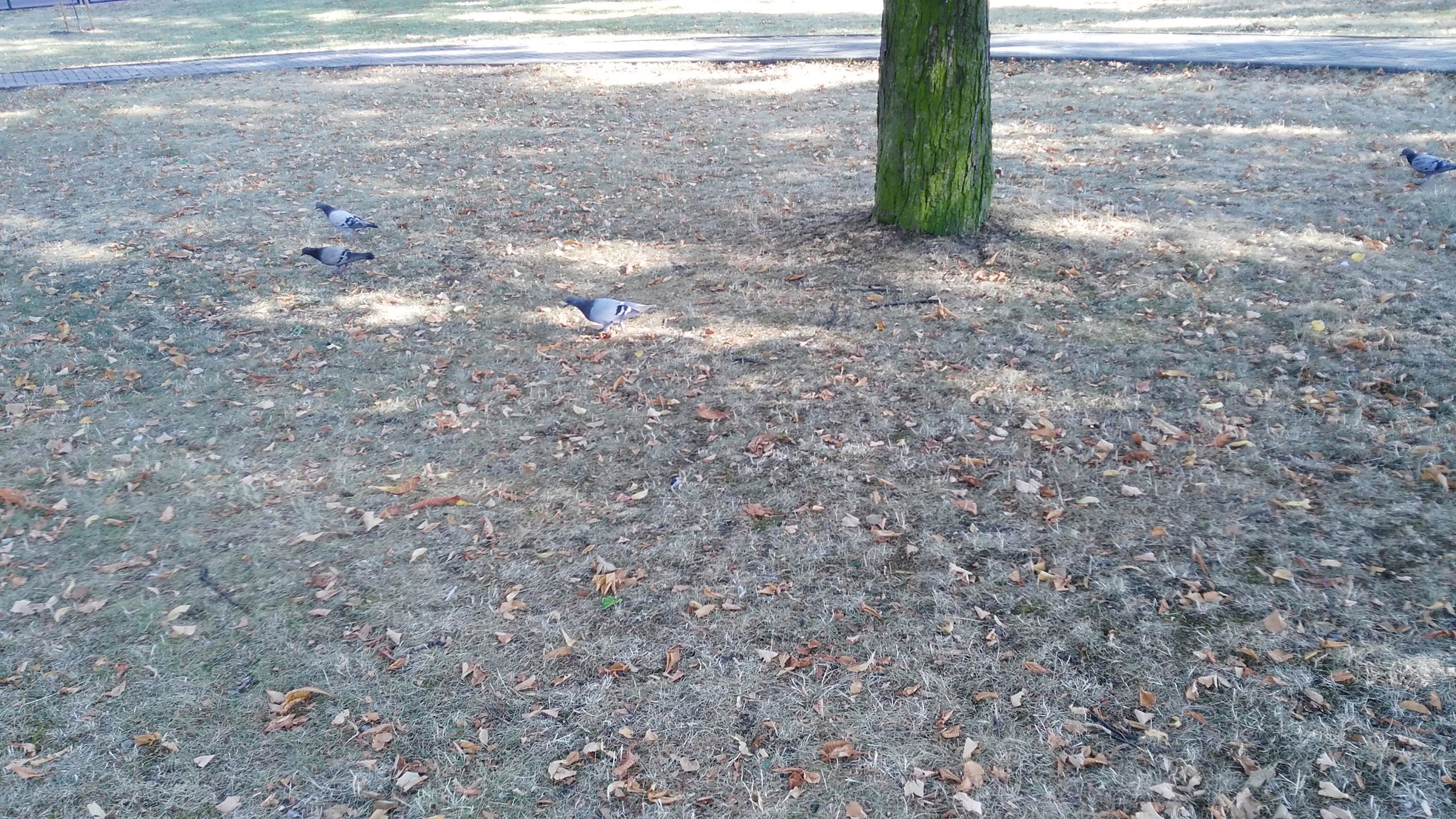 Huawei Ascend G7 - test i recenzja 44