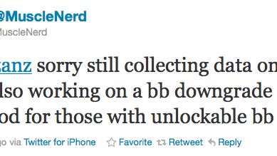 DevTeam pracuje nad możliwością downgrade'u basebandów iPhone'a 1