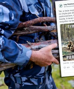 Lasy Państwowe tłumaczą się z programu "Chrust Plus". "To chyba jest zaskoczeniem"