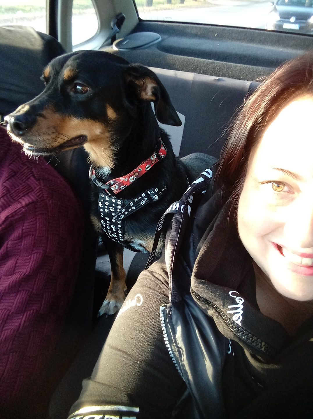 Dzień Kundelka na Pudelku! Nasi czytelnicy dzielą się z nami zdjęciami swoich pupili 