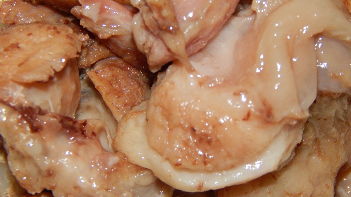 Czy mięso z kurczaka jest zdrowe?