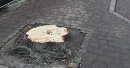 Katowice. Marcin Krupa oburzony. Prezydent miasta zapowiada zgłoszenie do prokuratury