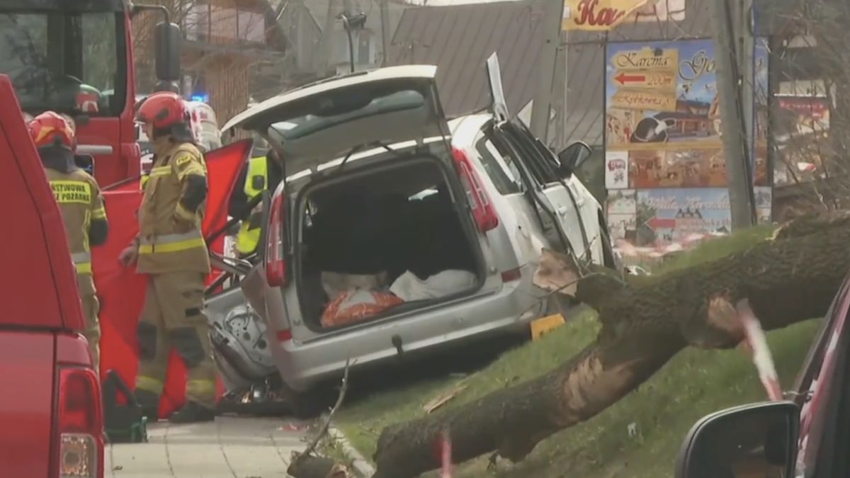 Drzewo przewróciło się na samochód.