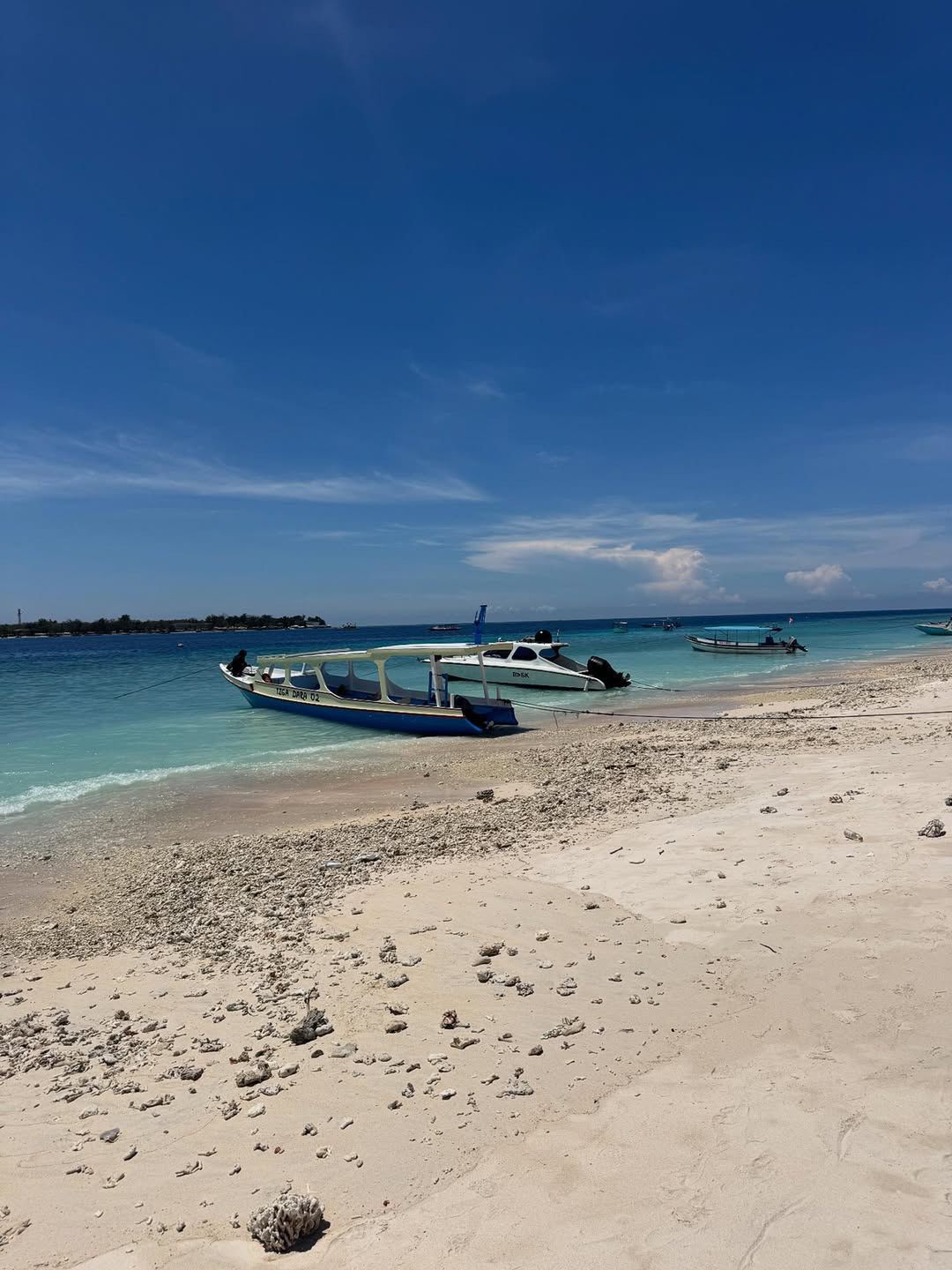 Anna Wendzikowska na wczasach