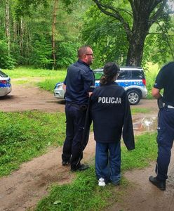 Usłyszeli krzyk z lasu. 17-latka odnaleziona na mokradłach