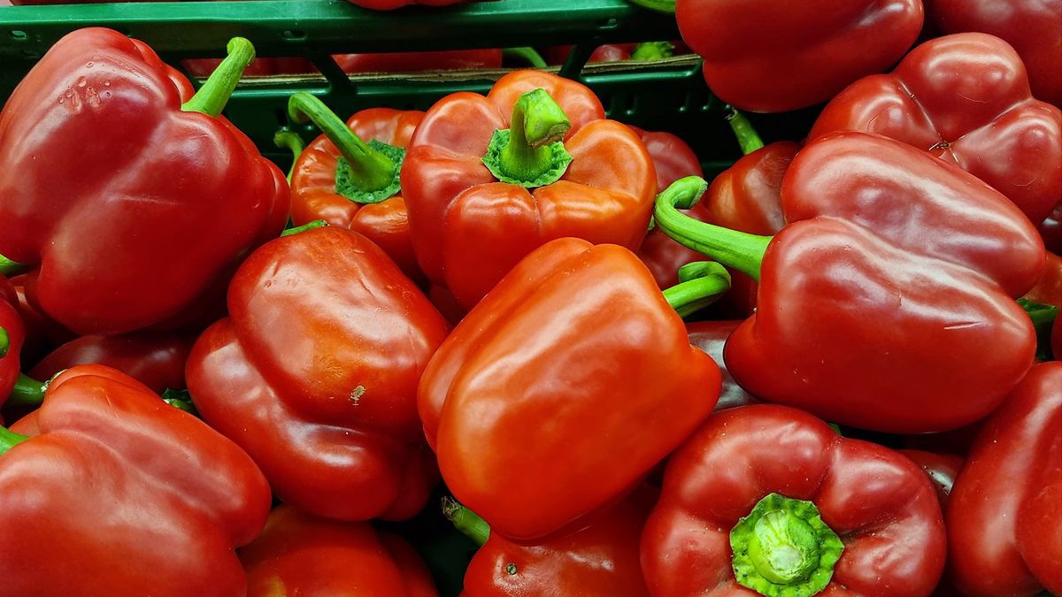 Zdjęcie ilustracyjne. 