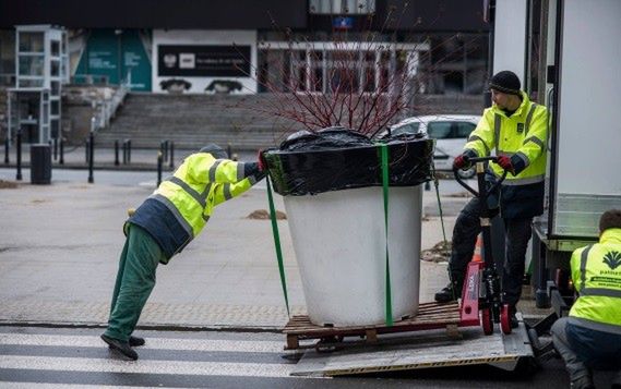 Donice znikają ze Świętokrzyskiej. Trafią m.in. na peryferie