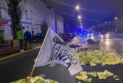 Protest rolników. Zawiadomienie ws. akcji Agrounii. "Widok martwej świni zszokował wielu"