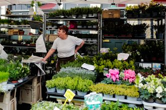 Niespodziewane skutki brexitu. Celnicy muszą używać łaciny