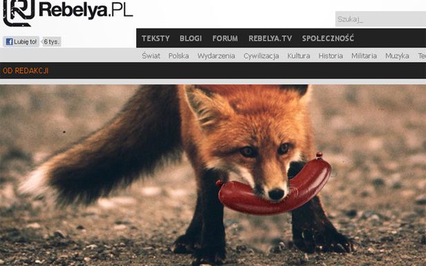 "Parówkowy falstart" czy mocny debiut? Jeszcze raz o naTemat 1