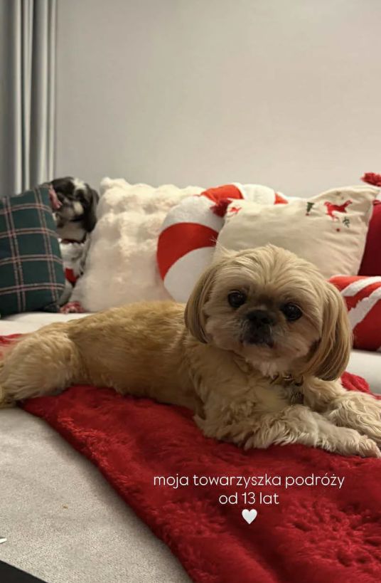 Dom Sandry Kubickiej